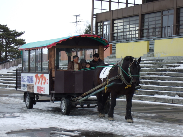 北海道遺産・ばんえい競馬・ばん馬が引っ張る観光用の馬車の写真の写真