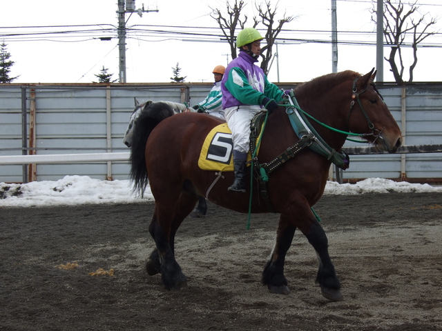 北海道遺産・ばんえい競馬１６の写真の写真