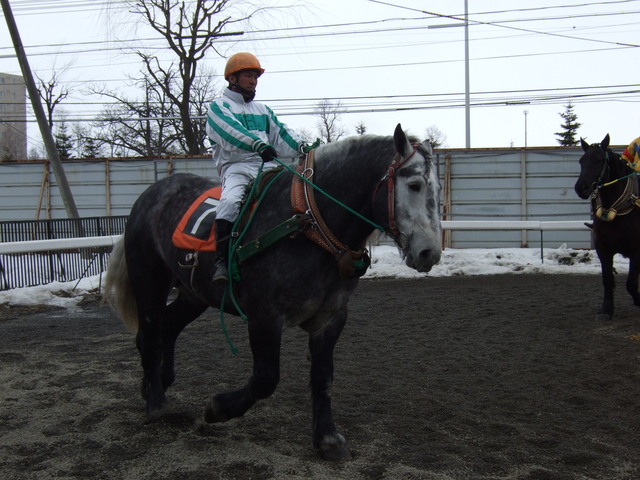 北海道遺産・ばんえい競馬１７の写真の写真