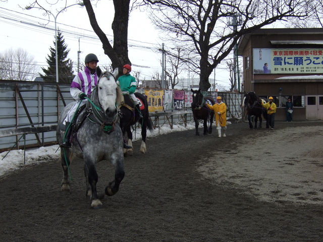 北海道遺産・ばんえい競馬１９の写真の写真