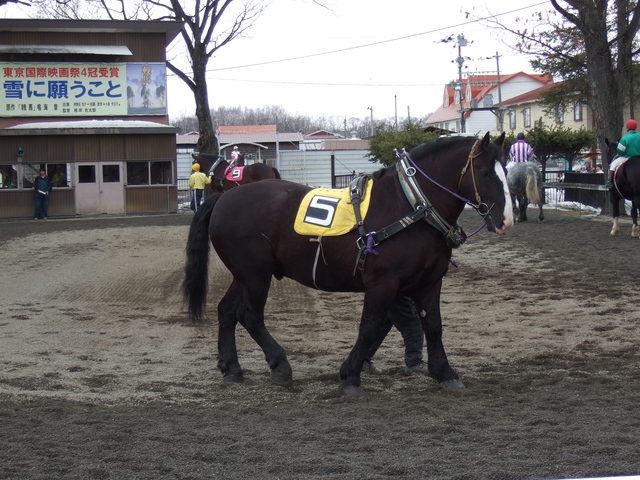 北海道遺産・ばんえい競馬２０の写真の写真