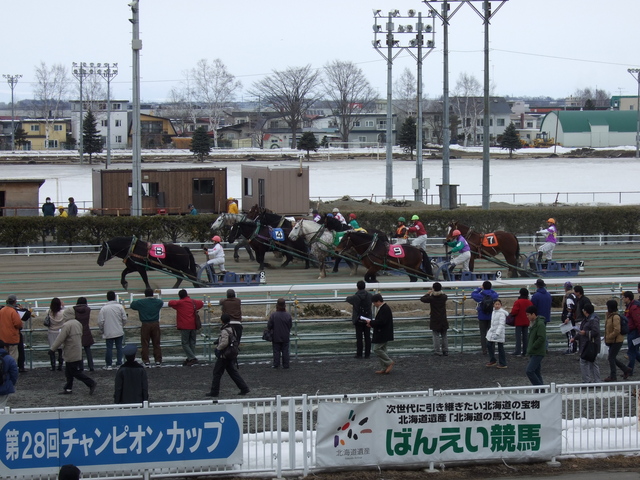 北海道遺産・ばんえい競馬２３の写真の写真