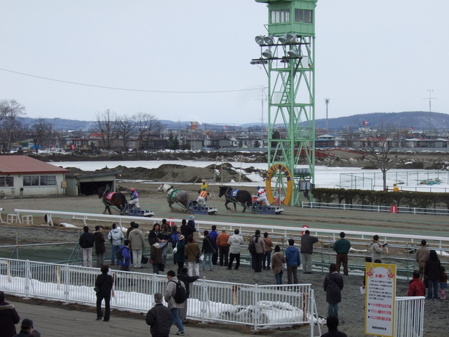 北海道遺産・ばんえい競馬・ゴール手前の攻防の写真の写真