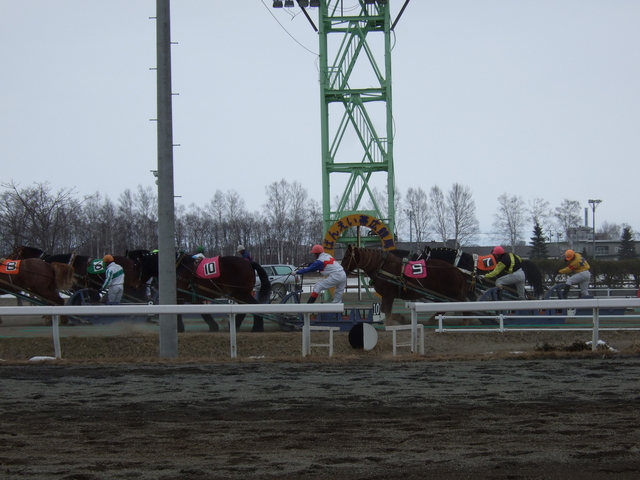 北海道遺産・ばんえい競馬３１の写真の写真