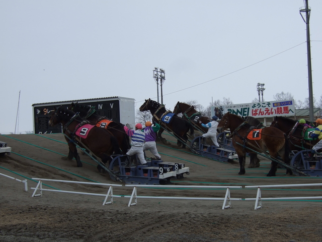 北海道遺産・ばんえい競馬３６の写真の写真