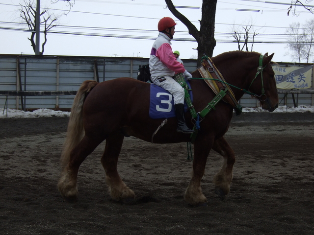 北海道遺産・ばんえい競馬３８の写真の写真