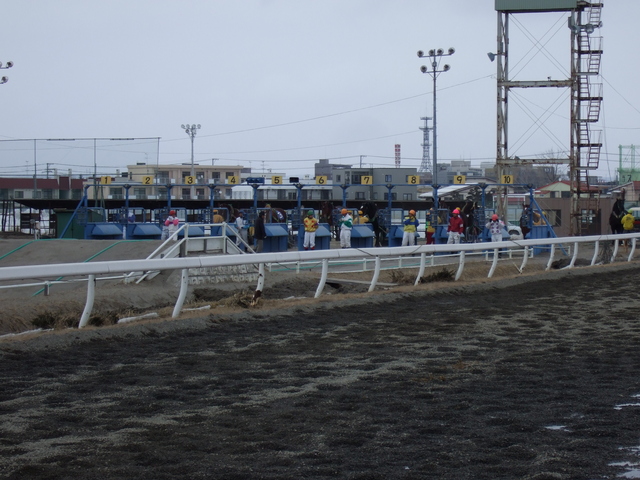 北海道遺産・ばんえい競馬３９の写真の写真