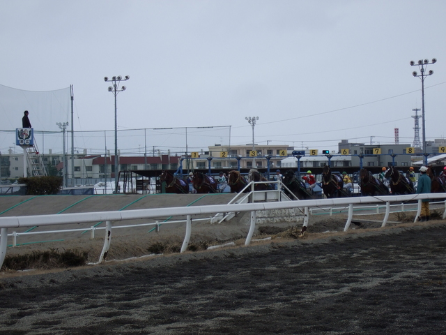 北海道遺産・ばんえい競馬４１の写真の写真