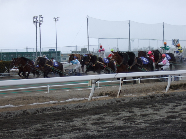 北海道遺産・ばんえい競馬４４の写真の写真