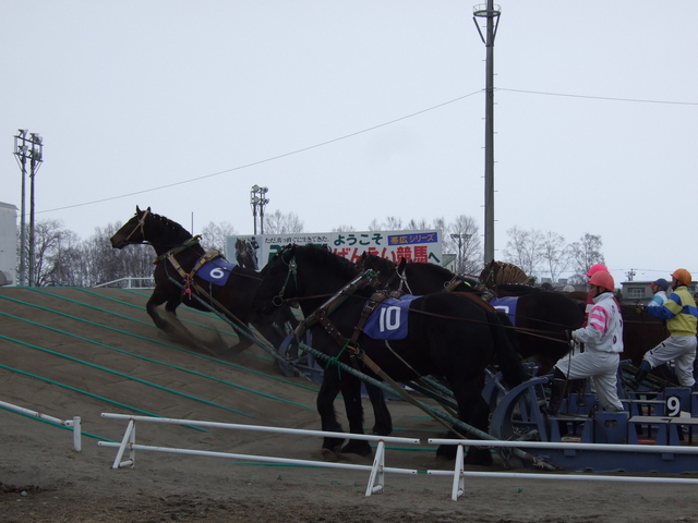 北海道遺産・ばんえい競馬４６の写真の写真