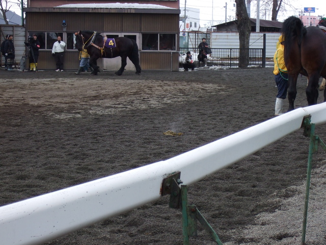 北海道遺産・ばんえい競馬５４の写真の写真
