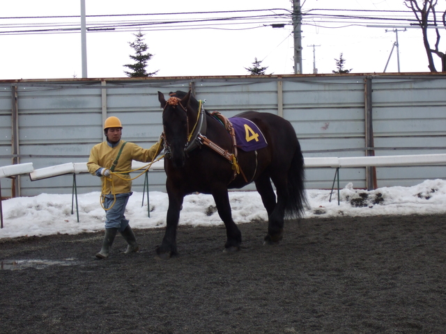 北海道遺産・ばんえい競馬５６の写真の写真