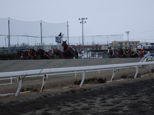 北海道遺産・ばんえい競馬・第一の坂道は勢いで越えるの写真の写真