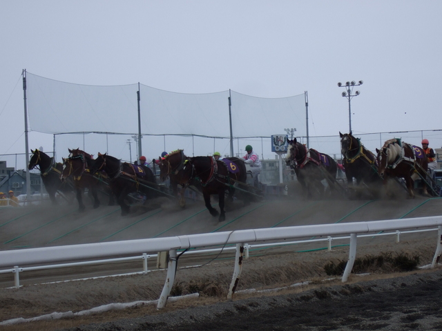 北海道遺産・ばんえい競馬・そりの重さは800kg前後の写真の写真
