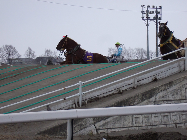 北海道遺産・ばんえい競馬・あまりの重さに座り込むばんばの写真の写真