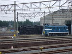 蒸気機関車(SL)のC58・機関庫から姿を現す