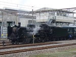 蒸気機関車(SL)のC58 ２９