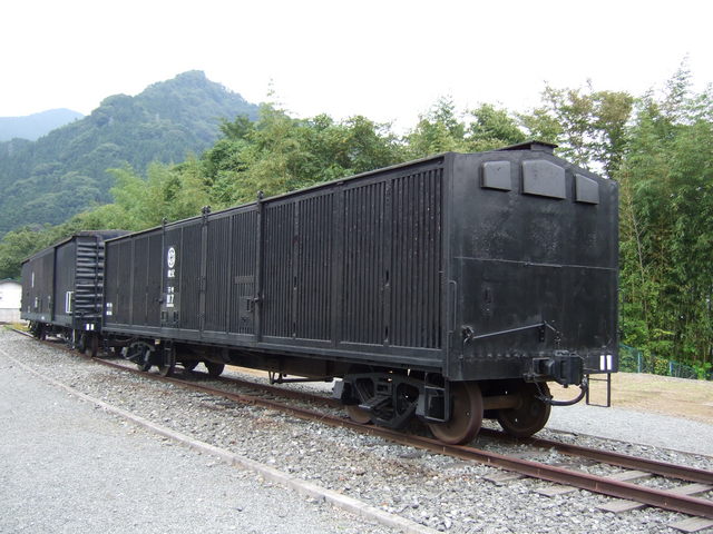 テキ117号の写真の写真