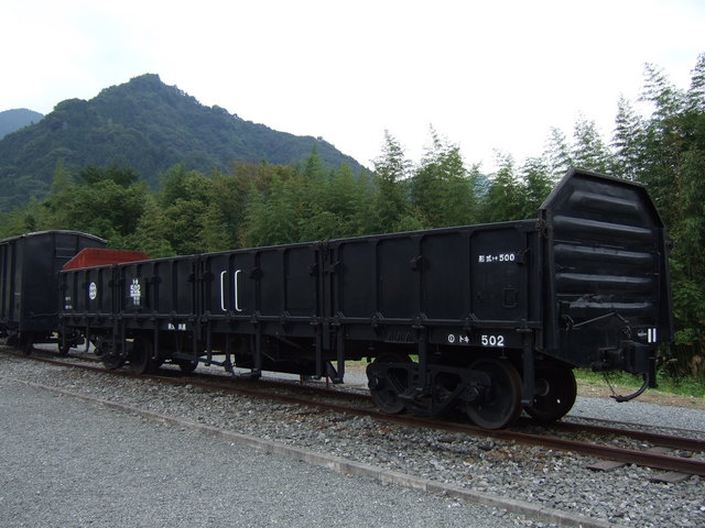 トキ502号の写真の写真