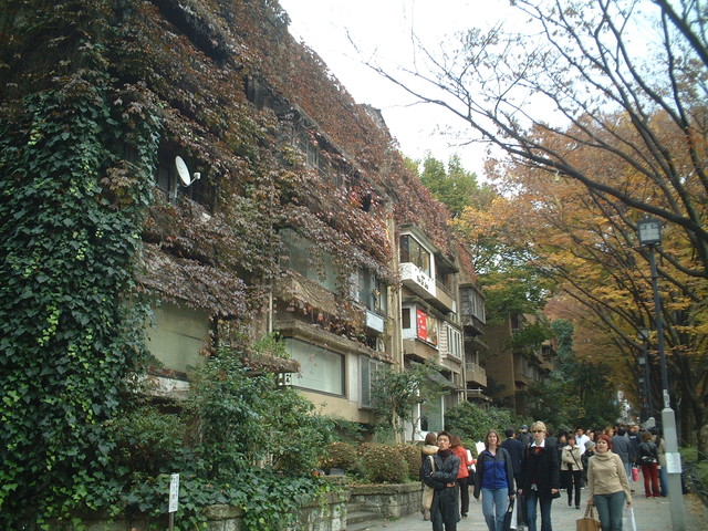 同潤会・青山アパート２０の写真の写真