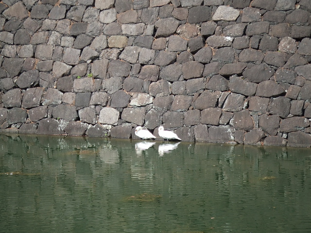 特別史跡・江戸城跡の写真の写真