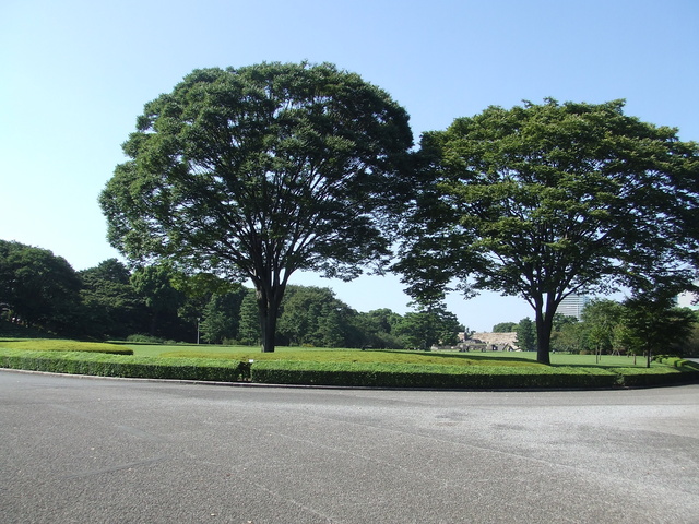 特別史跡・江戸城跡・本丸の写真の写真