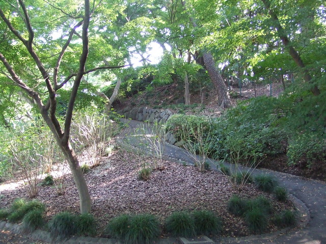 特別史跡・江戸城跡・本丸の写真の写真