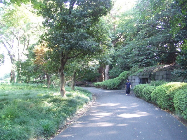 特別史跡・江戸城跡・本丸の写真の写真