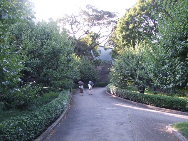 特別史跡・江戸城跡・二の丸・振り返って見る梅林坂江戸城跡の写真の写真