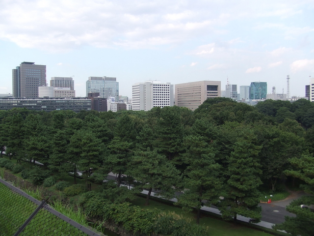 特別史跡・江戸城跡・本丸の写真の写真