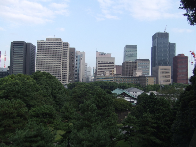 特別史跡・江戸城跡・本丸・本丸から見る大手町のビル街の写真の写真