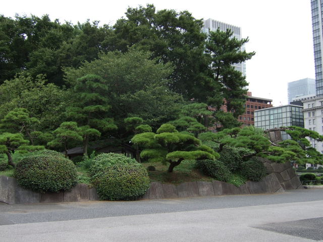 特別史跡・江戸城跡の写真の写真