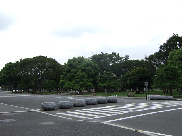 特別史跡・江戸城跡の写真の写真