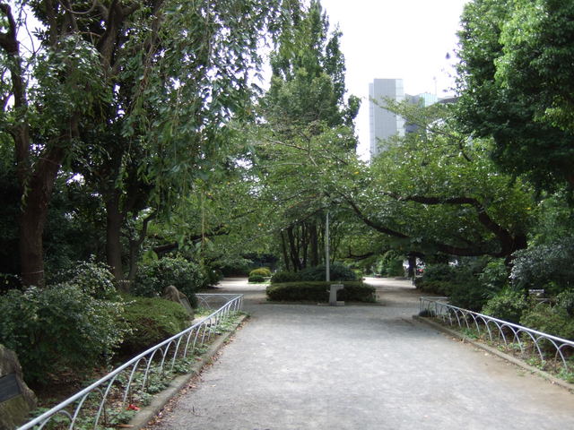 江戸城跡・内堀の写真の写真