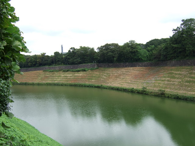 江戸城跡・内堀・千鳥ヶ淵の写真の写真
