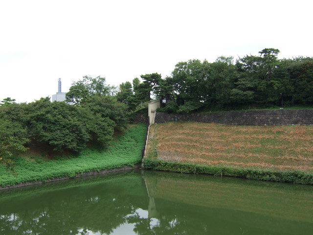 江戸城跡・内堀・千鳥ヶ淵の写真の写真