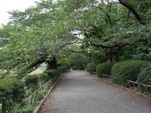 江戸城跡・内堀の写真の写真