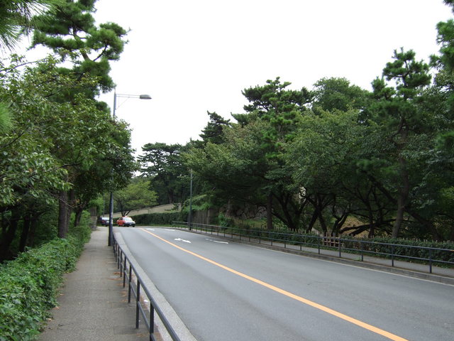 江戸城跡・内堀の写真の写真