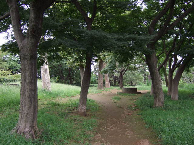 江戸城跡・内堀の写真の写真