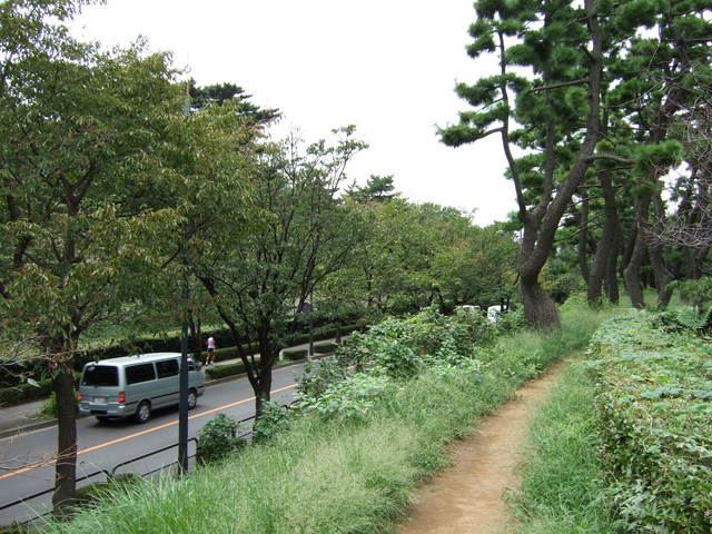 江戸城跡・内堀の写真の写真