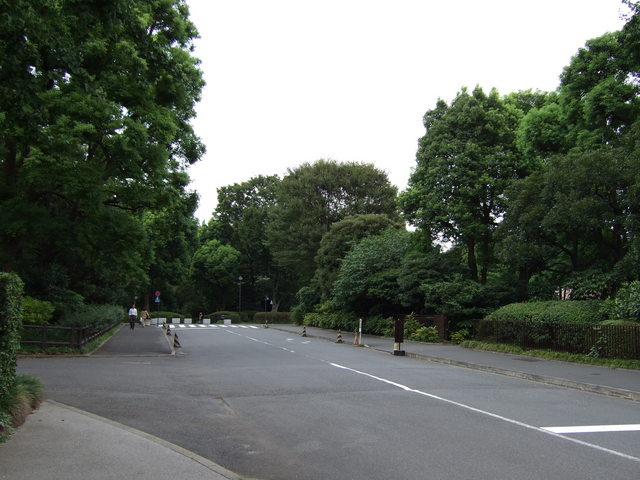 江戸城跡・北の丸１の写真の写真