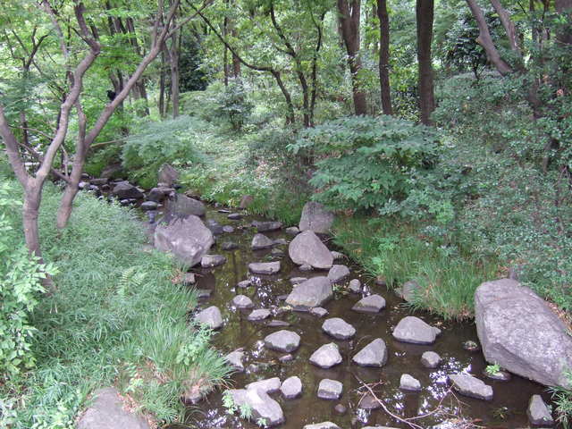 江戸城跡・北の丸４の写真の写真