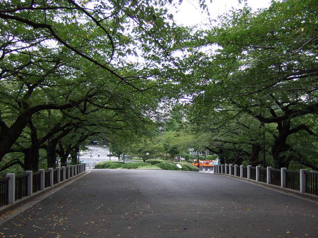 江戸城跡・北の丸６の写真の写真