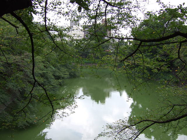 江戸城跡・北の丸７の写真の写真