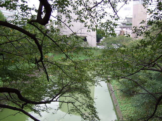 江戸城跡・北の丸８の写真の写真