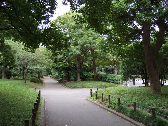 江戸城跡・北の丸９の写真の写真