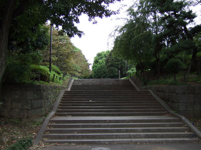 江戸城跡・北の丸１０の写真の写真