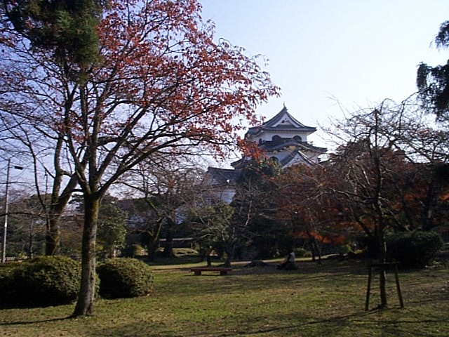 特別史跡・彦根城跡・本丸の庭園の写真の写真