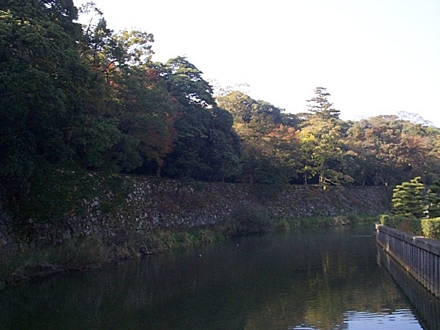 特別史跡・彦根城跡の堀の写真の写真