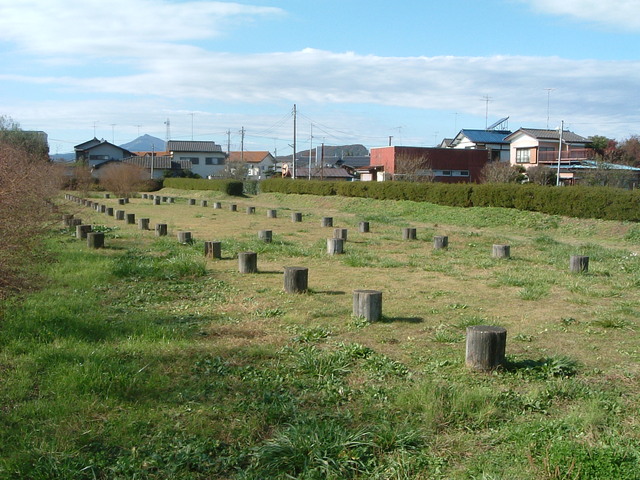 特別史跡・常陸国分尼寺・北方建物群の遺構の写真の写真